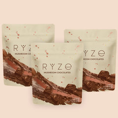 Mushroom Chocolates Rye (15 pieces) N4