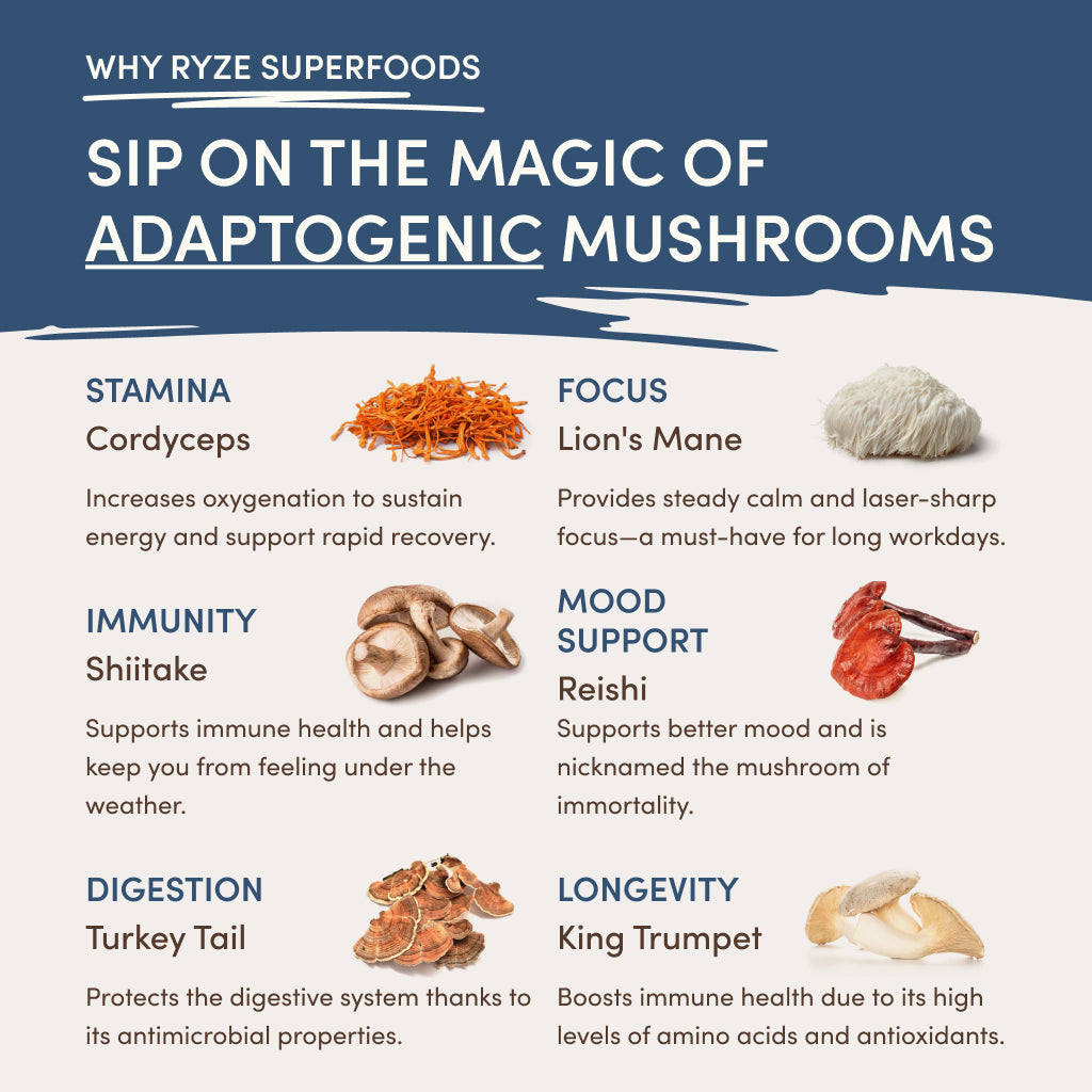 RYZE Nighttime Mushroom Cocoa Starter Bag E7