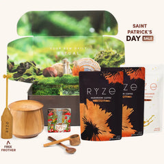 Mushroom Coffee Ritual Set Y0