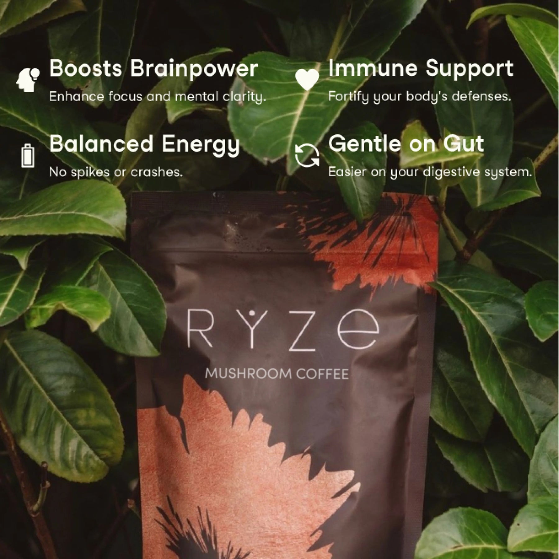 RYZE Mushroom Coffee — Organic Instant Coffee with Cordyceps & Reishi, 30 Servings F0