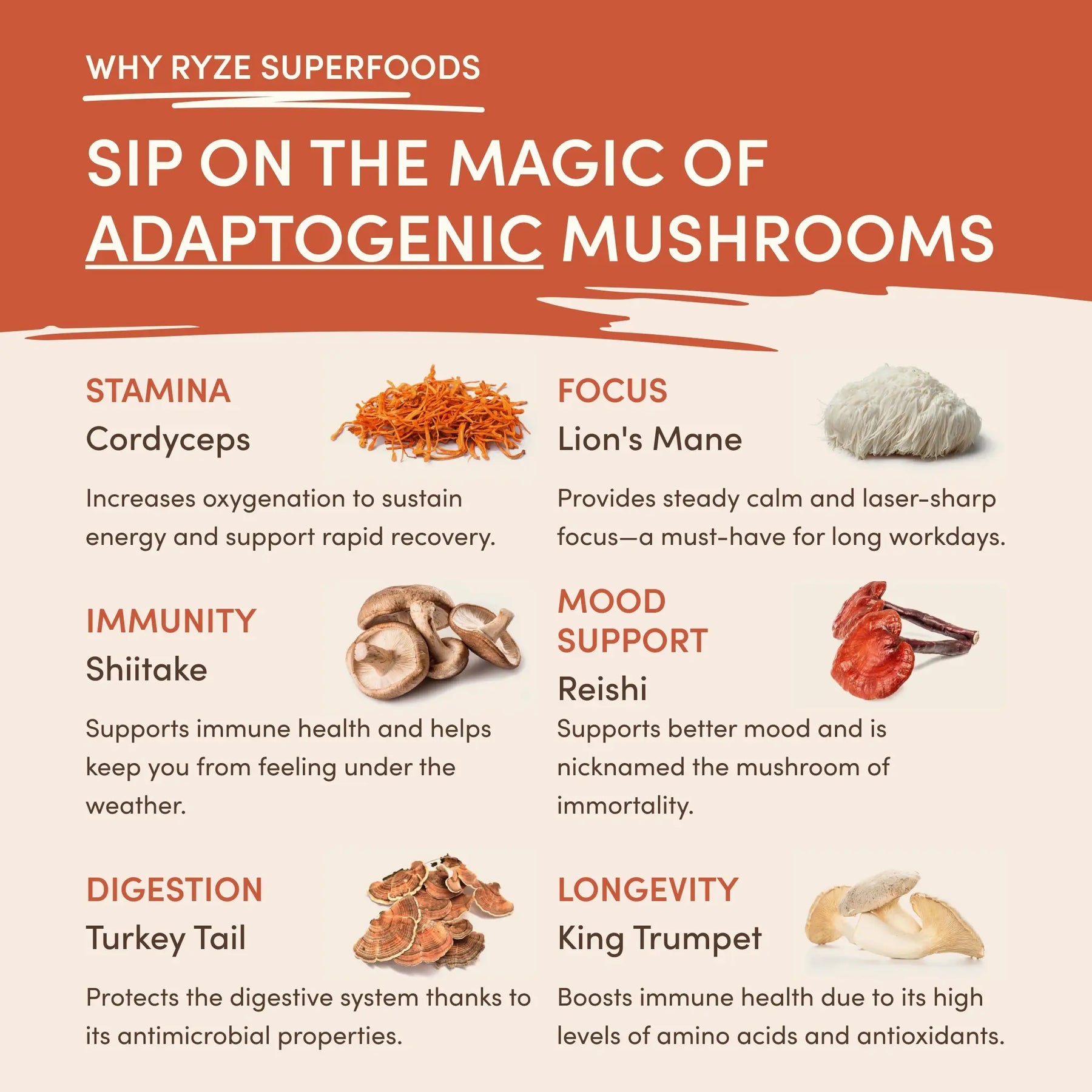 RYZE Mushroom Coffee — Organic Instant Coffee with Cordyceps & Reishi, 30 Servings T4