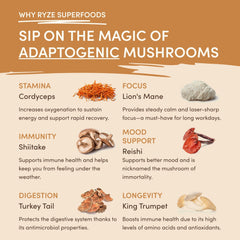 Mushroom Overnight Oats (14 Servings) I0