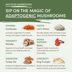 RYZE Mushroom Matcha — Organic Instant Matcha Latte with Lion's Mane & King Trumpet, 30 Servings B2
