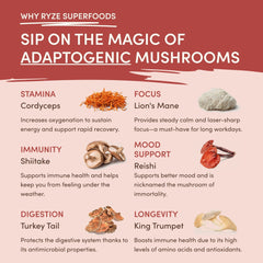 RYZE Mushroom Chai — Organic Instant Chai with Reishi & Organic Black Tea, 20 Servings F2