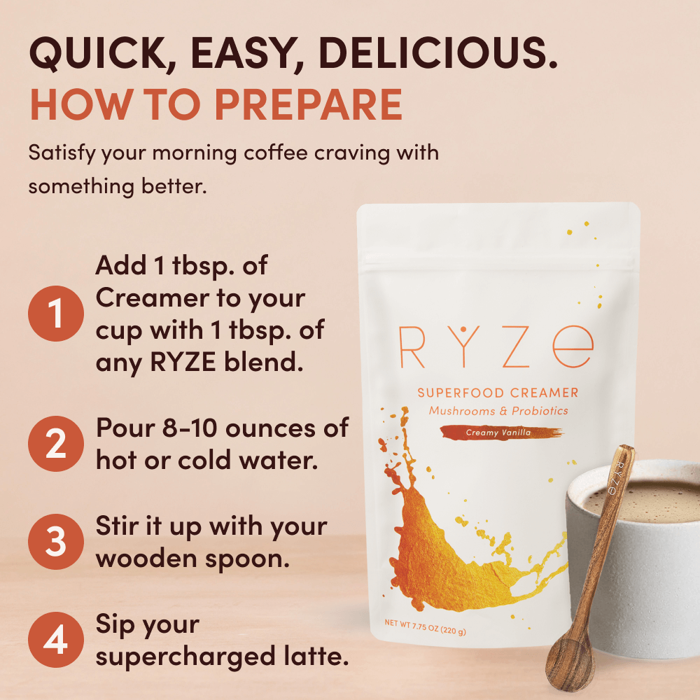 Mocha Creamer 3-Pack P7