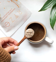 Probiotic Creamer (30 Servings) T1