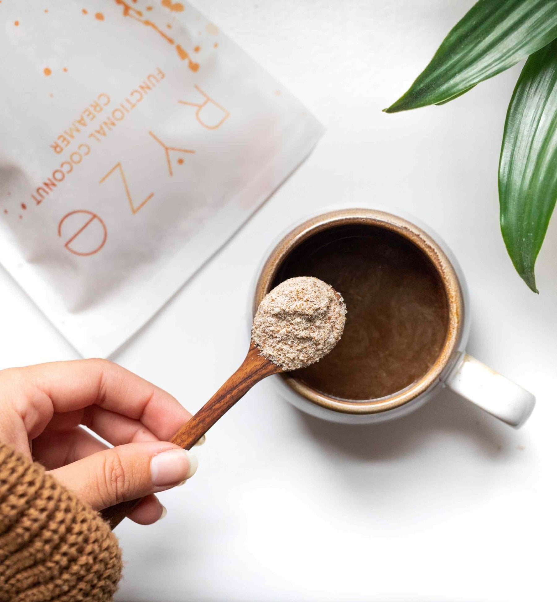 Probiotic Creamer (SPECIAL PRICING) X5