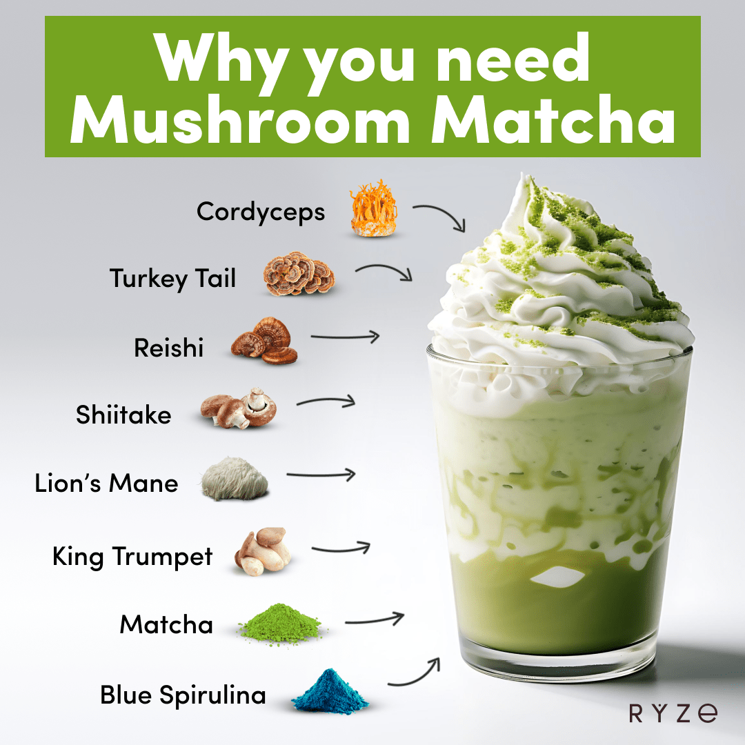 RYZE Organic Mushroom Matcha Starter Kit (60 servings) P2
